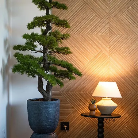 Priolo In - 4th Floor *