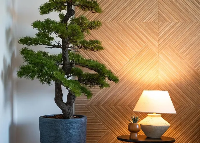 Priolo In - 4th Floor *